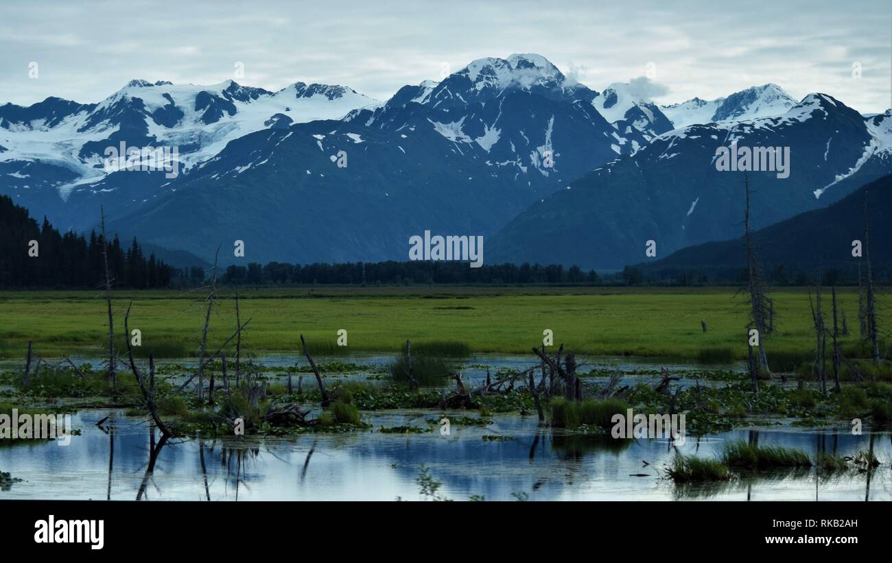 De beaux paysages autour de Seward, Alaska Banque D'Images