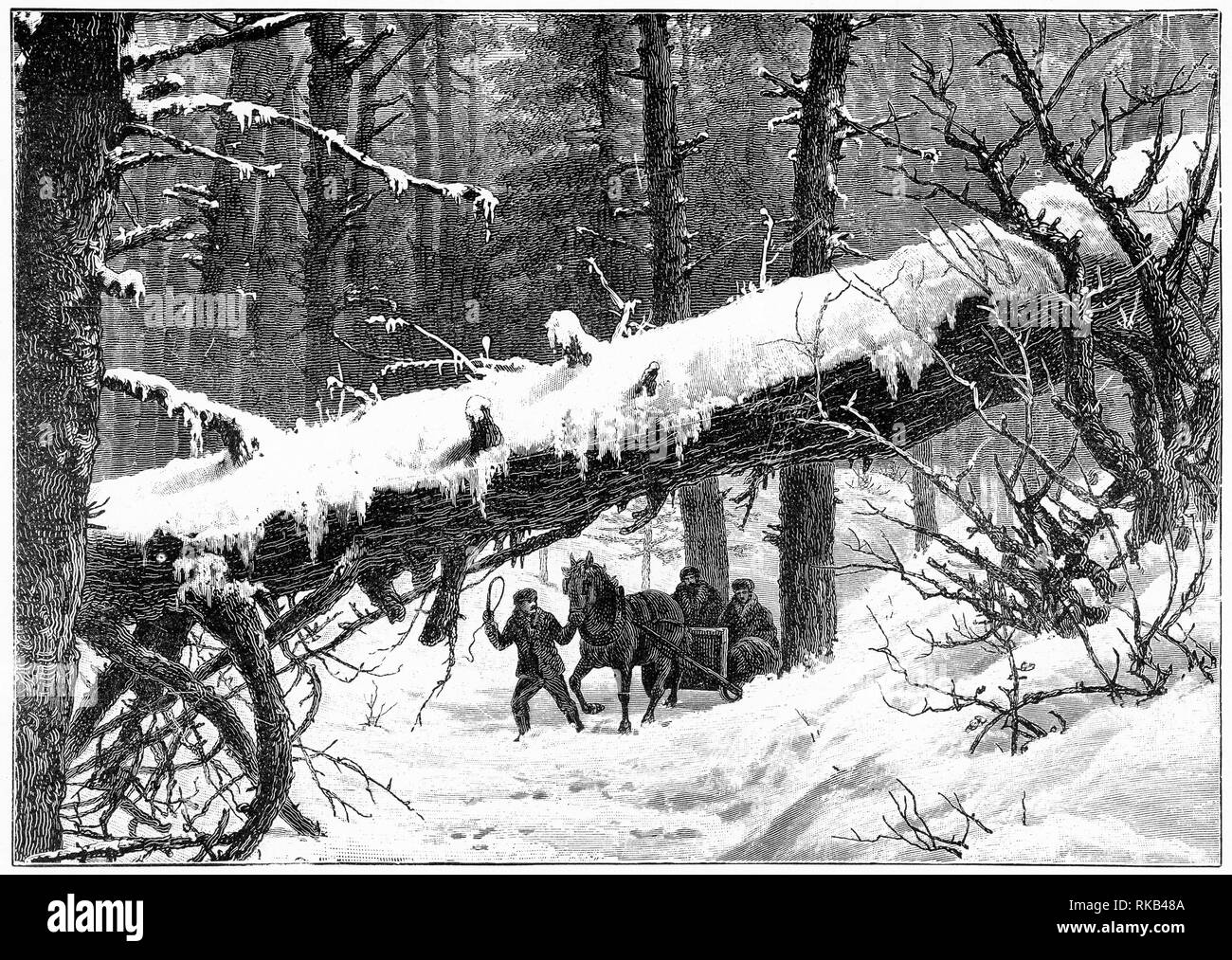 Gravure d'une famille voyageant sur un traîneau à travers une forêt canadienne en hiver Banque D'Images