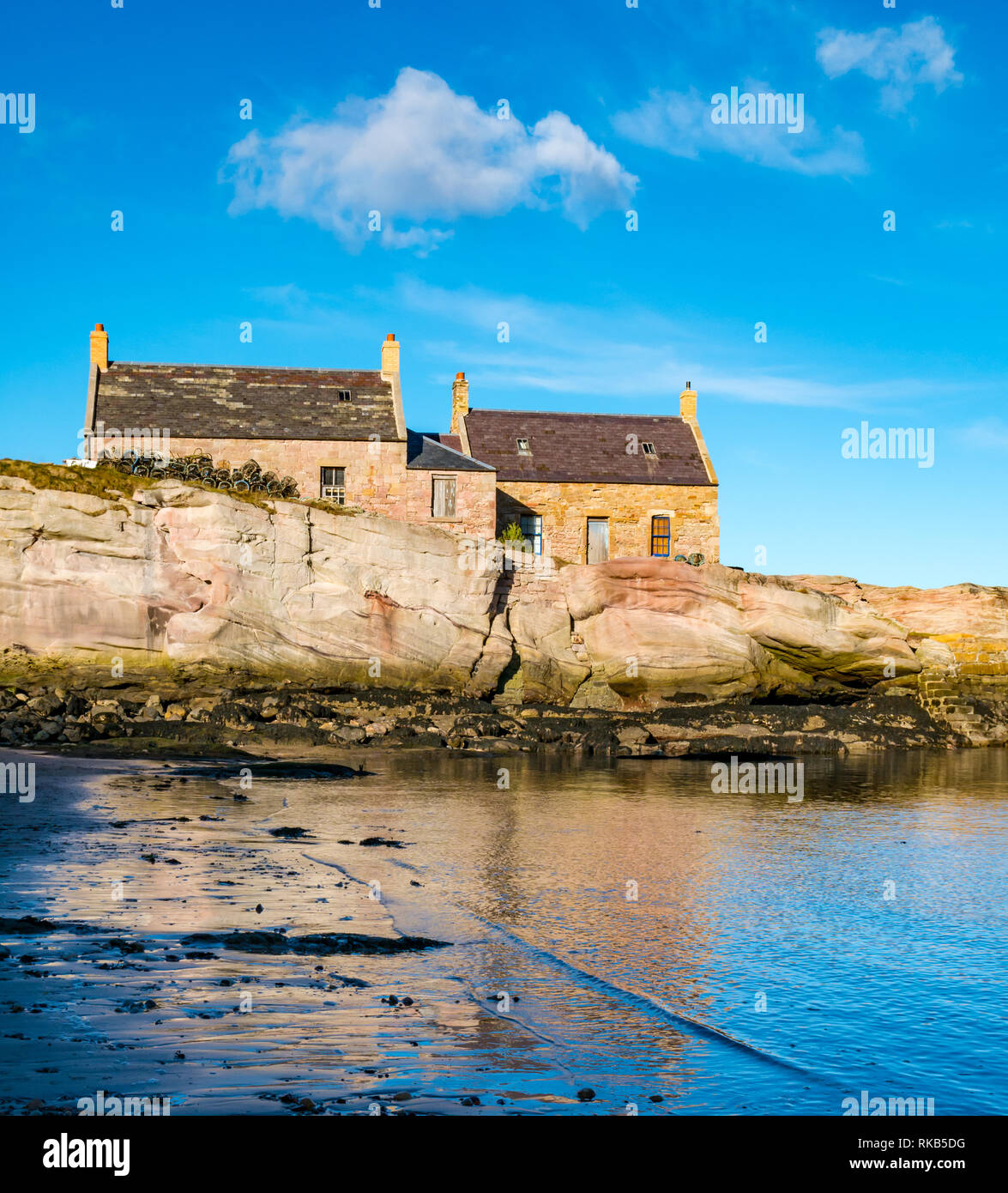 Vieux chalets, Cove Harbour, Berwickshire, Scottish Borders, Scotland, UK Banque D'Images