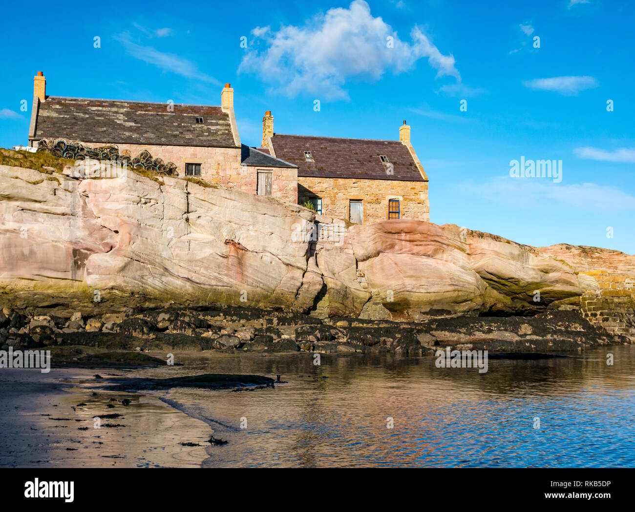 Vieux chalets, Cove Harbour, Berwickshire, Scottish Borders, Scotland, UK Banque D'Images