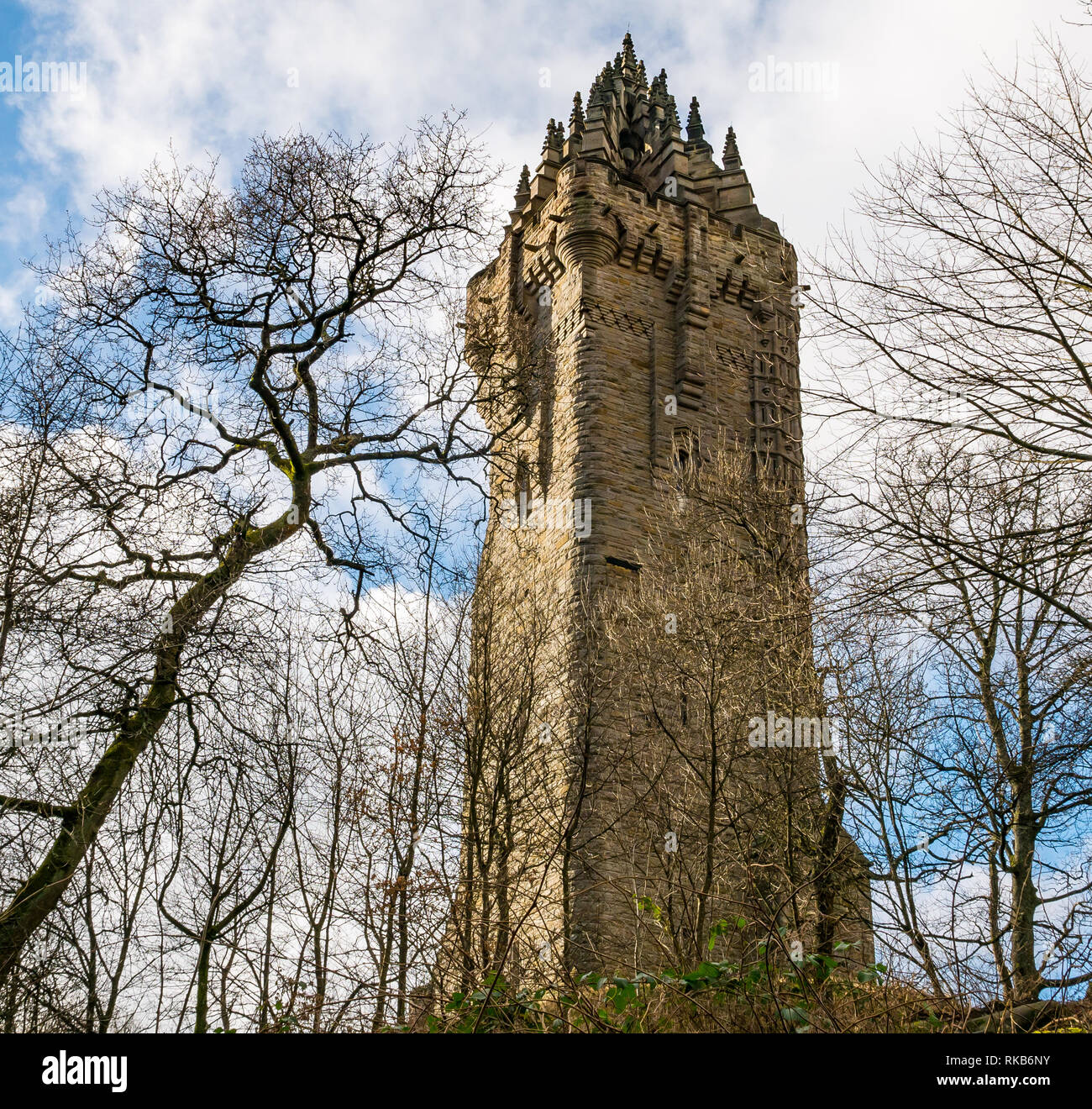 À la recherche jusqu'au Monument William Wallace à travers les arbres d'hiver, Abbey Craig, Stirling, Scotland, UK Banque D'Images