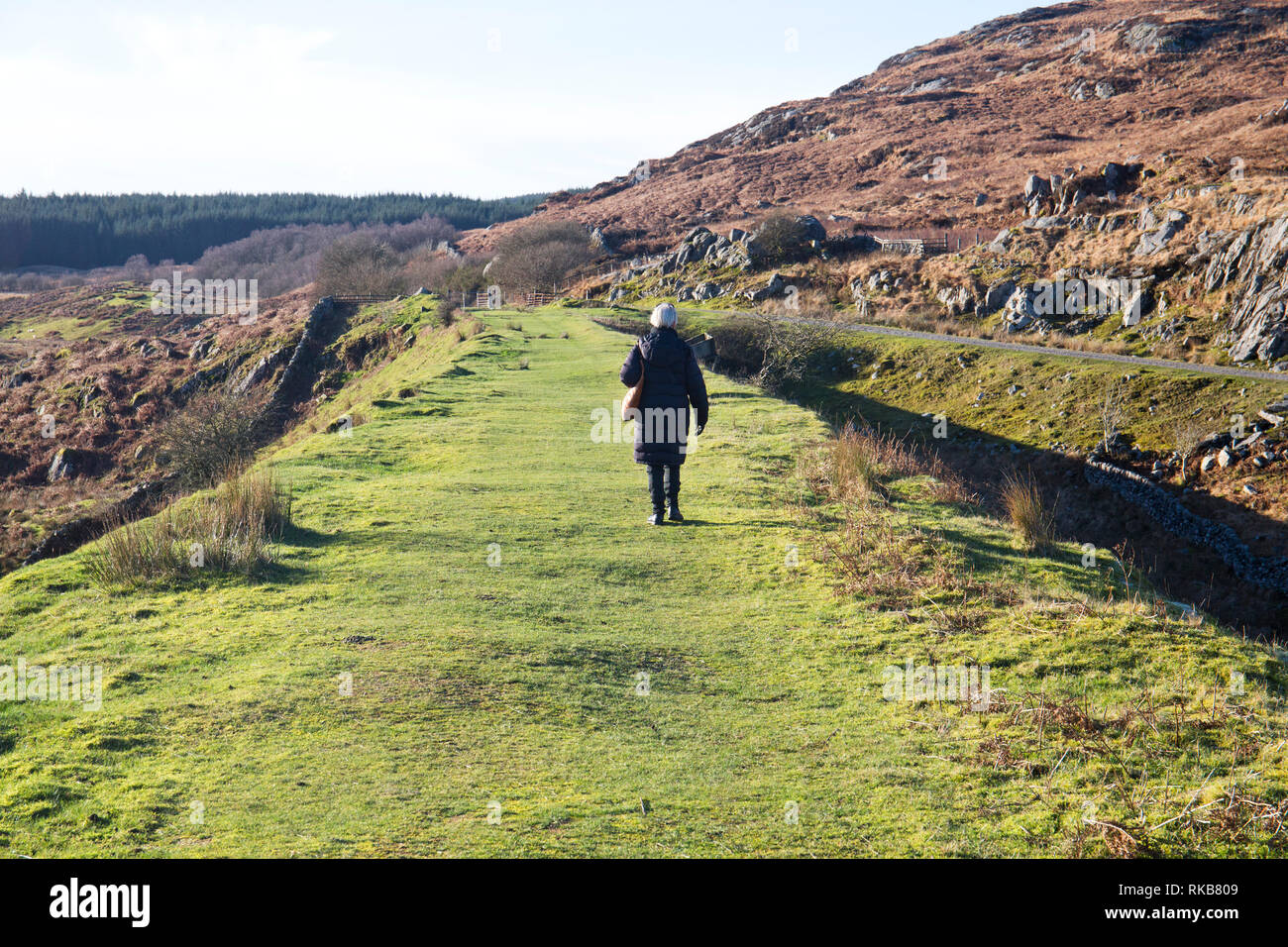 La flotte de Cairnsmore national nature reserve, Dumfries et Galloway, Écosse Banque D'Images