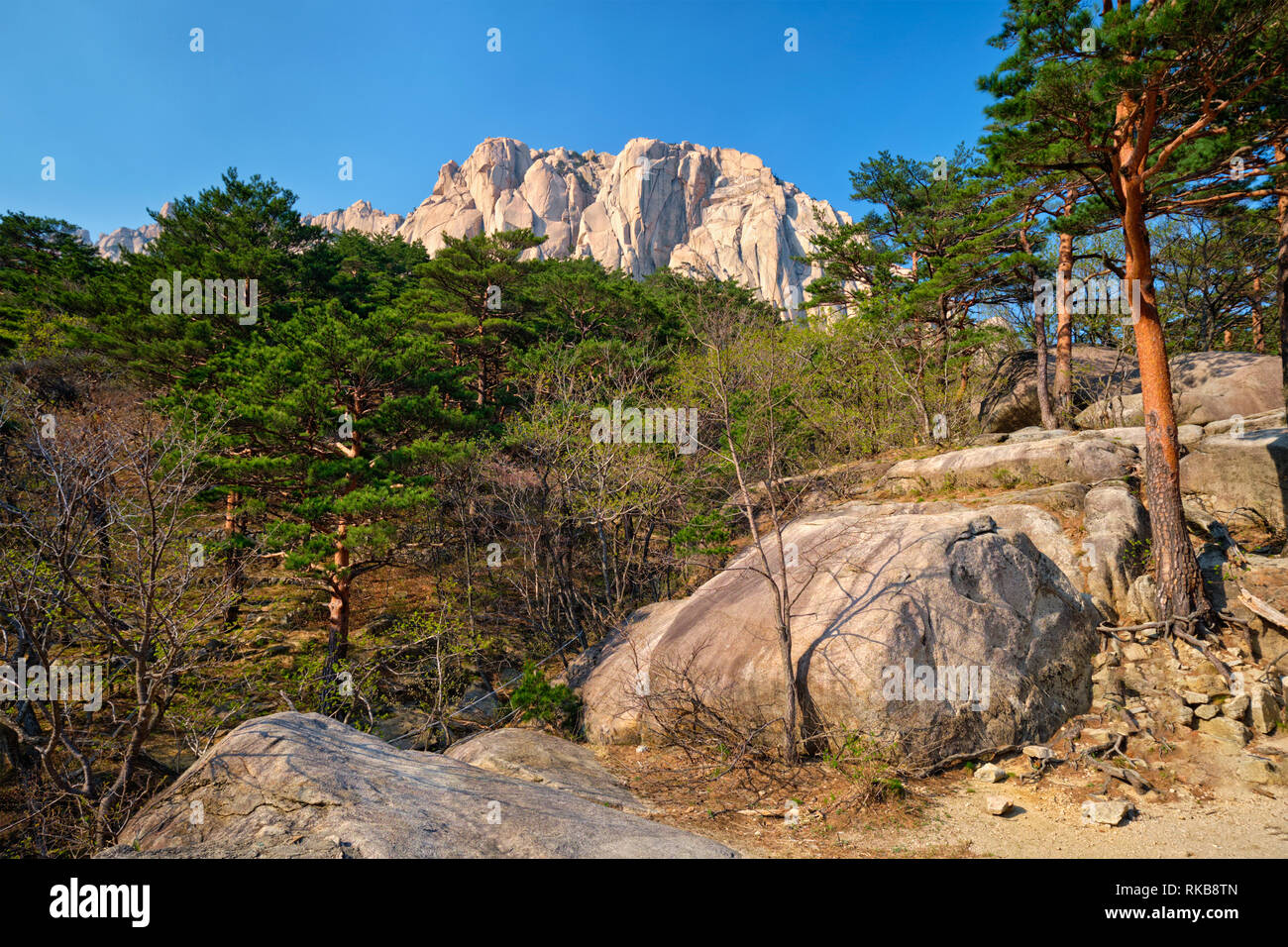 Ulsanbawi rock dans le Parc National de Seoraksan, Corée du Sud Banque D'Images