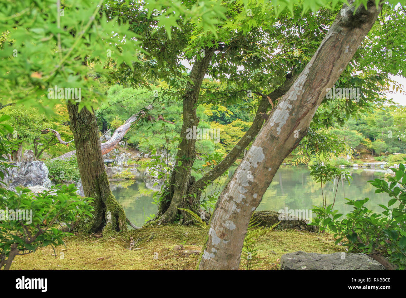 Beau jardin japonais l'architecture à Kyoto Arashiyama, Banque D'Images