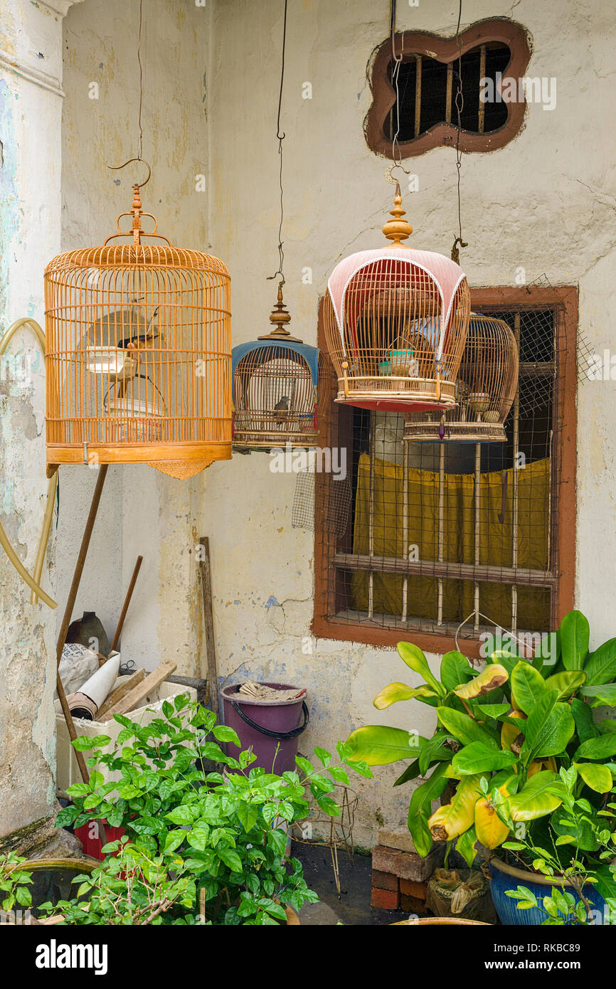 Cage à Oiseaux En Bambou Pendants Devant Une Façade Dune