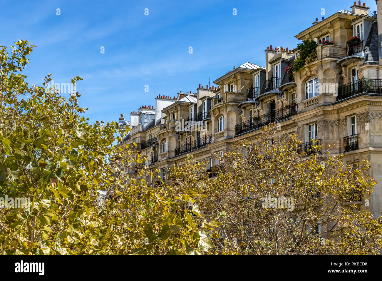 Immeubles d'appartements vus de la Promenade plantée ou coulée verte, un jardin surélevé sur une ligne de chemin de fer désaffectée, Paris, France Banque D'Images