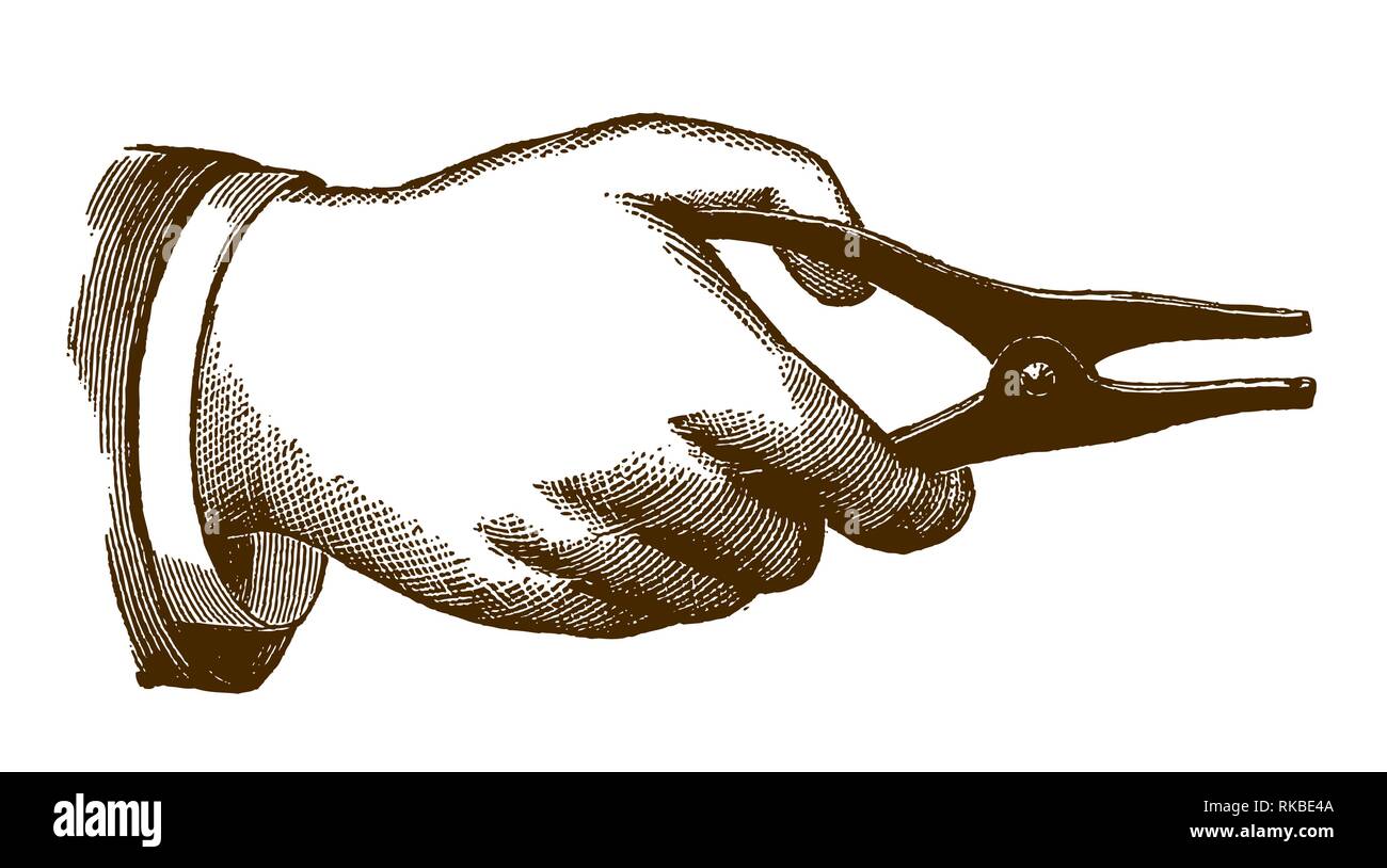 Illustration historique d'une main qui tient la pince (après une gravure ou la gravure du xixe siècle) Illustration de Vecteur