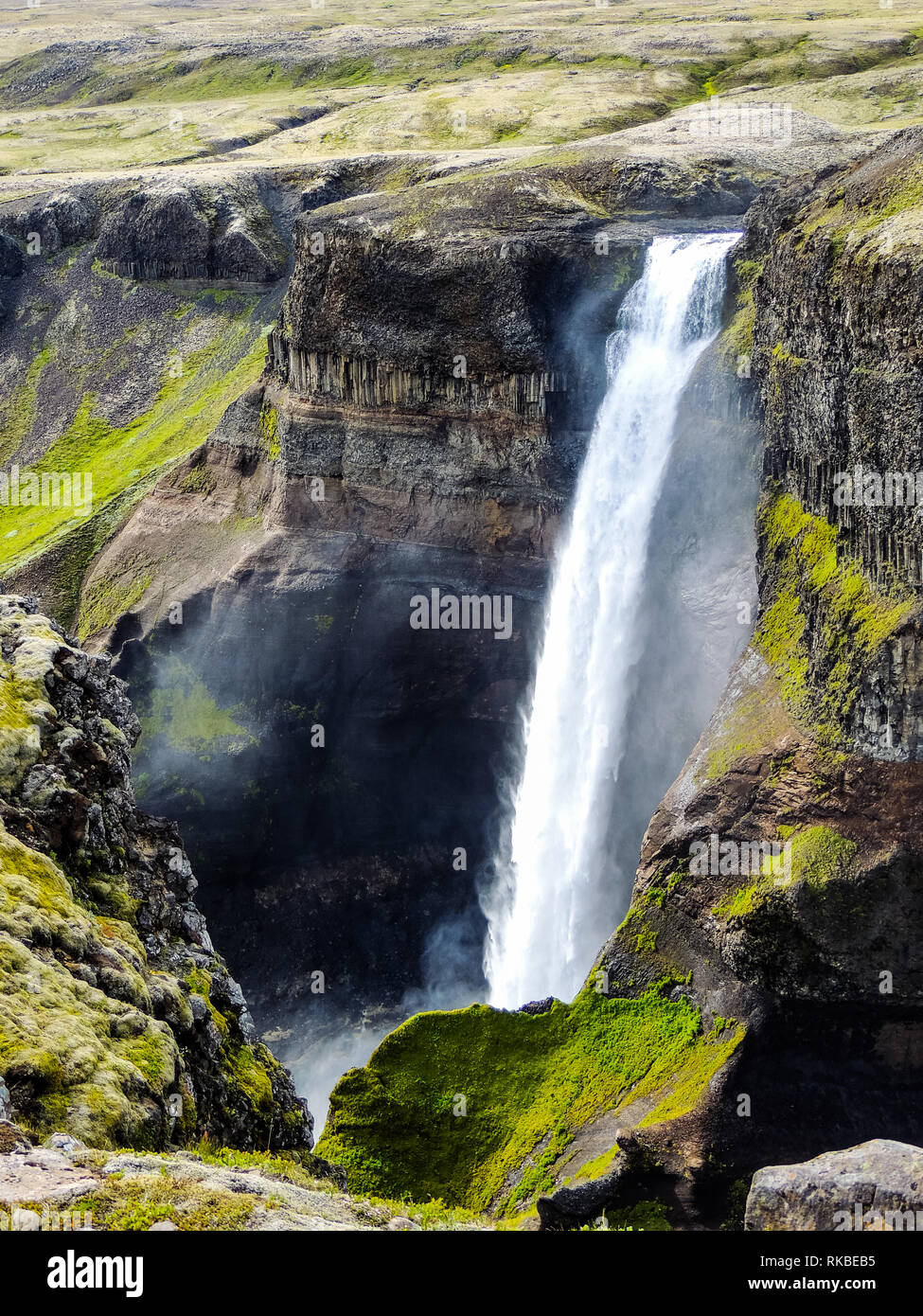 Cascade puissante en Islande circulant sur belle scène. Banque D'Images