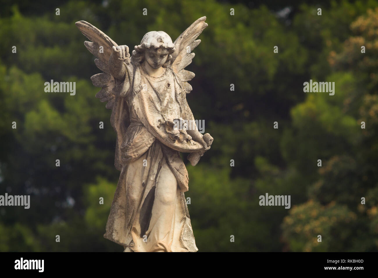 Vue d'une statue représentant un ange à la Terrasse ouest cimetière à Adelaide, Australie du Sud, Australie. Banque D'Images