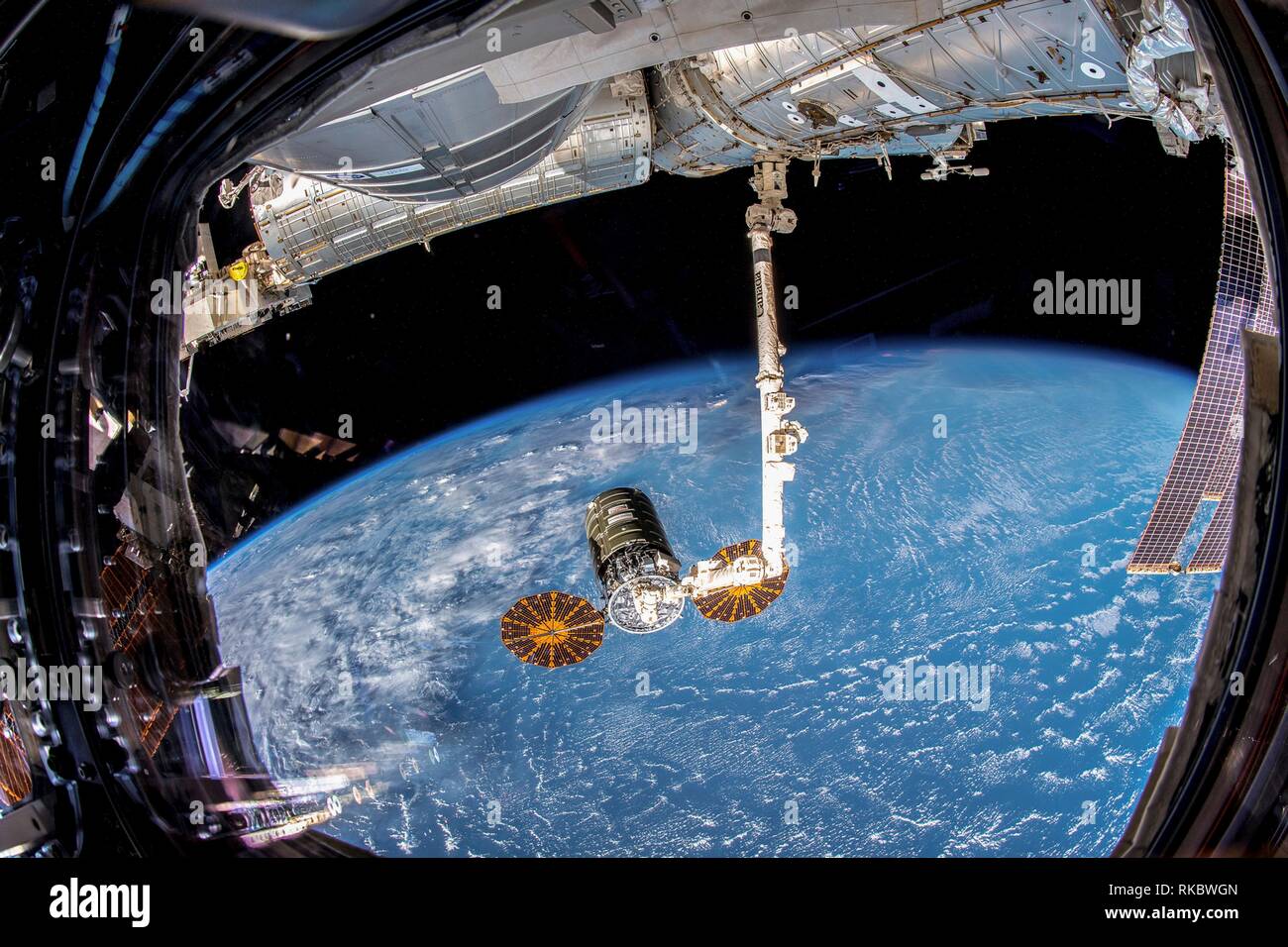 Le Northrop Grumman Cygnus engin spatial par l'insigne en forme de cymbale panneaux solaires est attaqué par le CanadaArm2 pour l'amarrage à la Station spatiale internationale 19 novembre 2018, dans l'orbite de la Terre. Banque D'Images