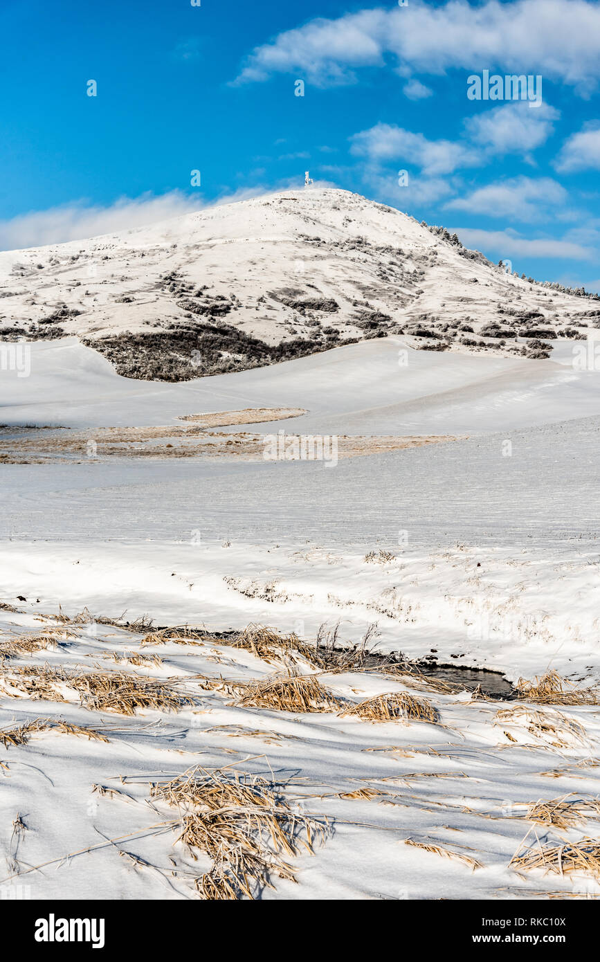 La neige a couvert Steptoe Butte près de Colfax Washington. Banque D'Images