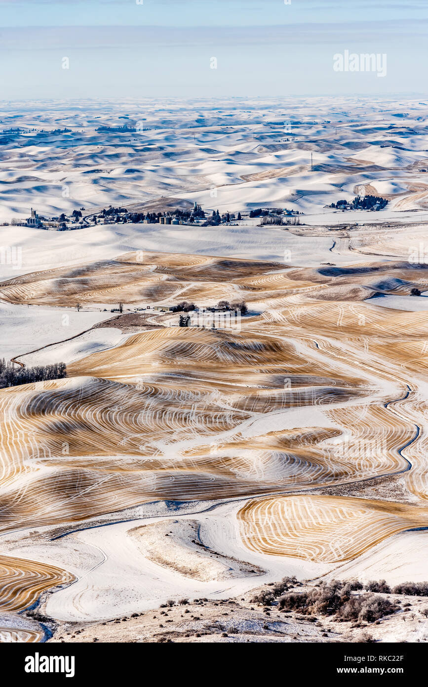 Des terres agricoles couvertes de neige dans les collines de la Palouse de Steptoe Butte. Banque D'Images