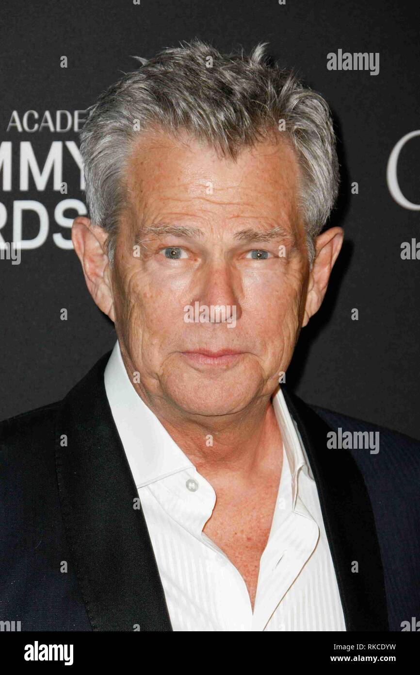 BEVERLY HILLS, CA- 09 février : David Foster au Clive Davis Pre-Grammy et Gala hommage aux icônes de l'industrie qui a eu lieu au Beverly Hilton le 9 février 2019 à Beverly Hills, Californie. Photo : imageSPACE/MediaPunch Banque D'Images