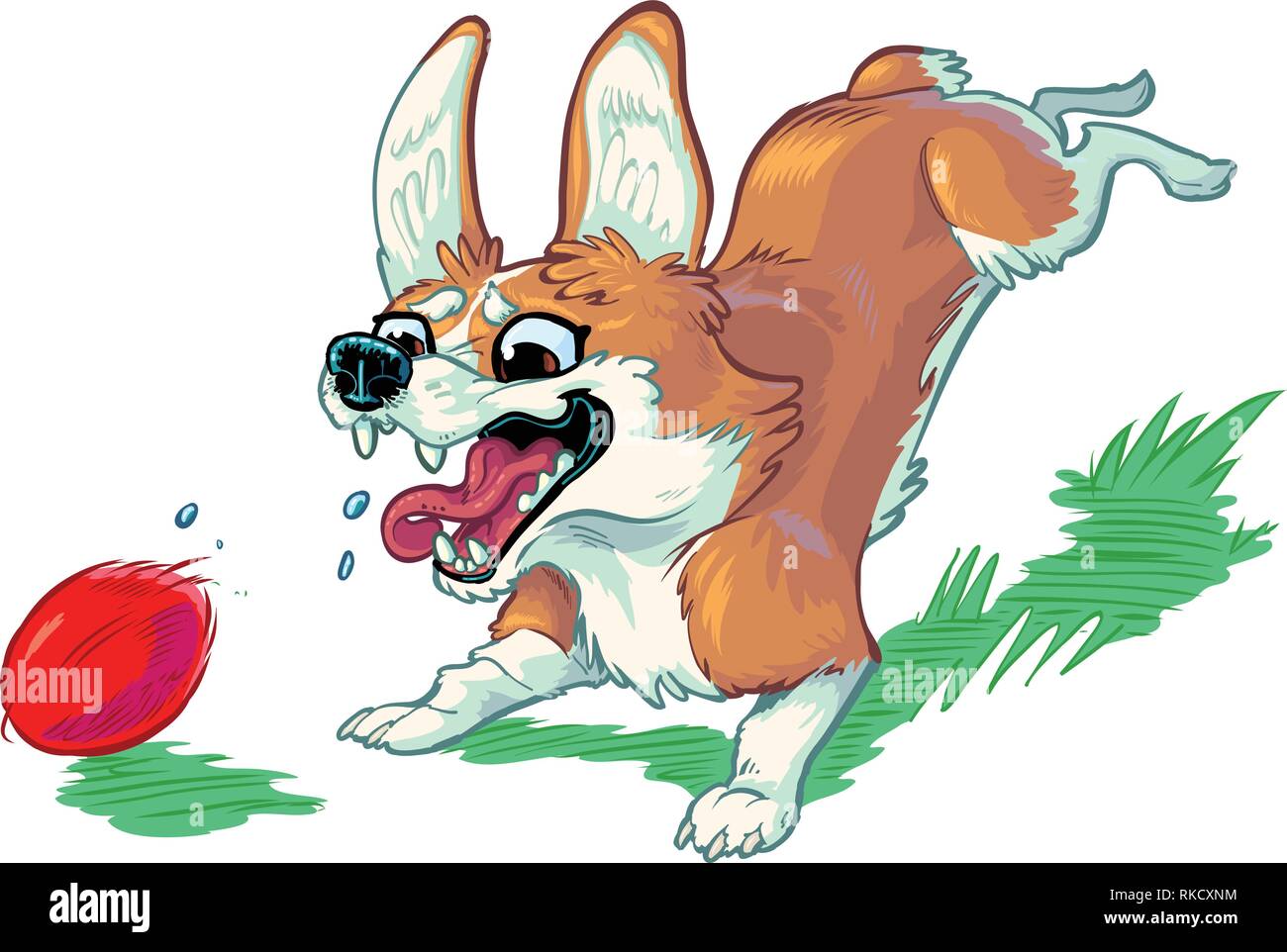 Vector cartoon clip art illustration d'un mignon et heureux Welsh Corgi chien ou chiot courir après une boule rouge, aboiements avec la bouche ouverte, et toungue hanging out Illustration de Vecteur