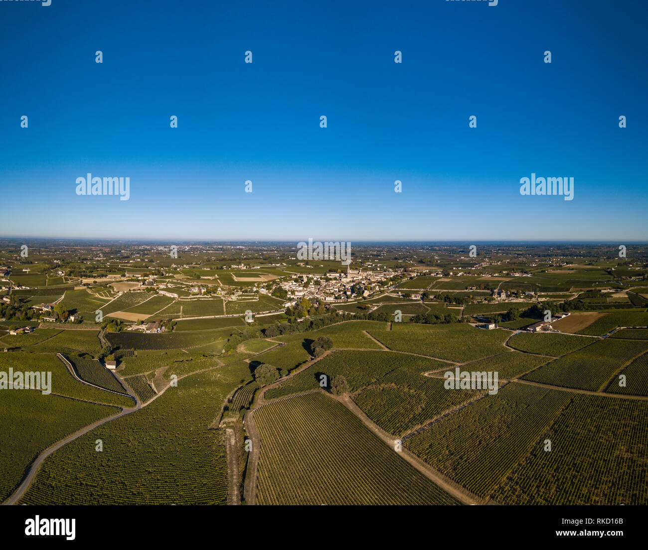 Vue aérienne vignobles de Bordeaux, Saint-Emilion, Aquitaine Domaine du département de la Gironde, France, Europe, Banque D'Images