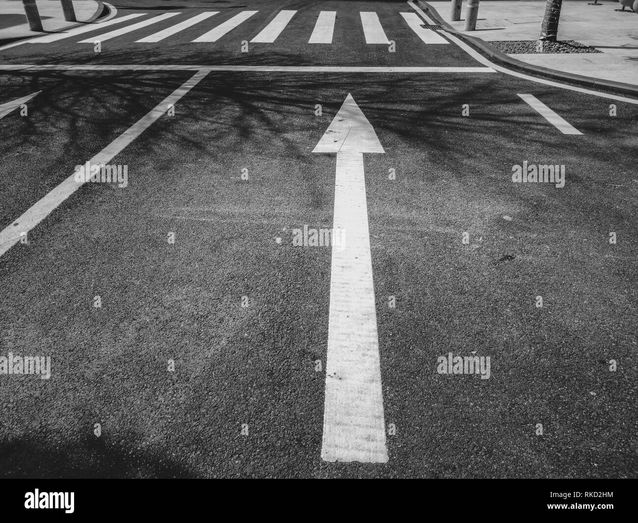 Flèches peintes sur la route d'asphalte, de sécurité, de style noir et blanc Banque D'Images