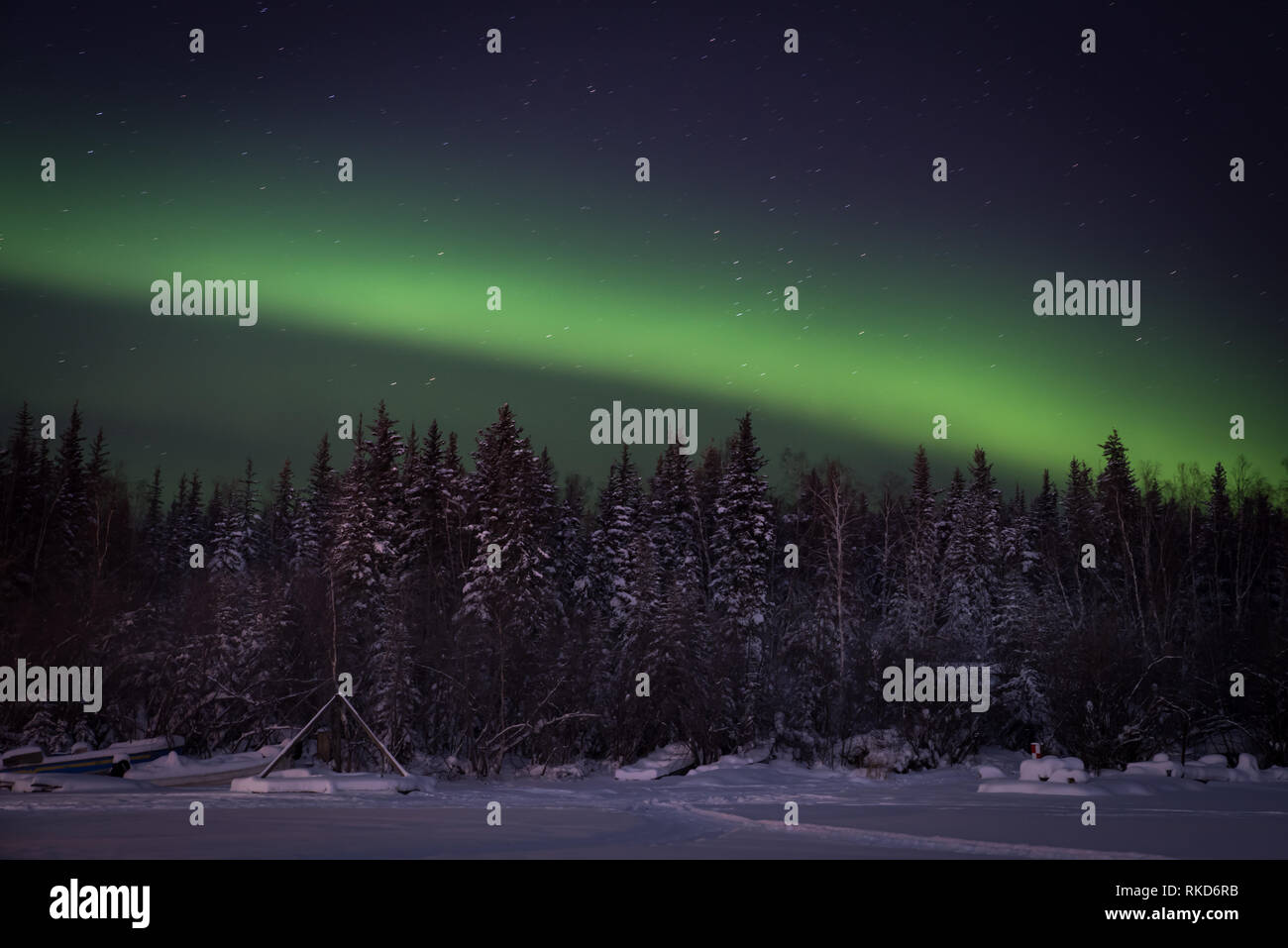 Les aurores boréales au cours de danses de l'Île Jolliffe photographiée de sur la glace d'un Grand lac des Esclaves à Yellowknife, Territoires du Nord-Ouest, Canada. Banque D'Images