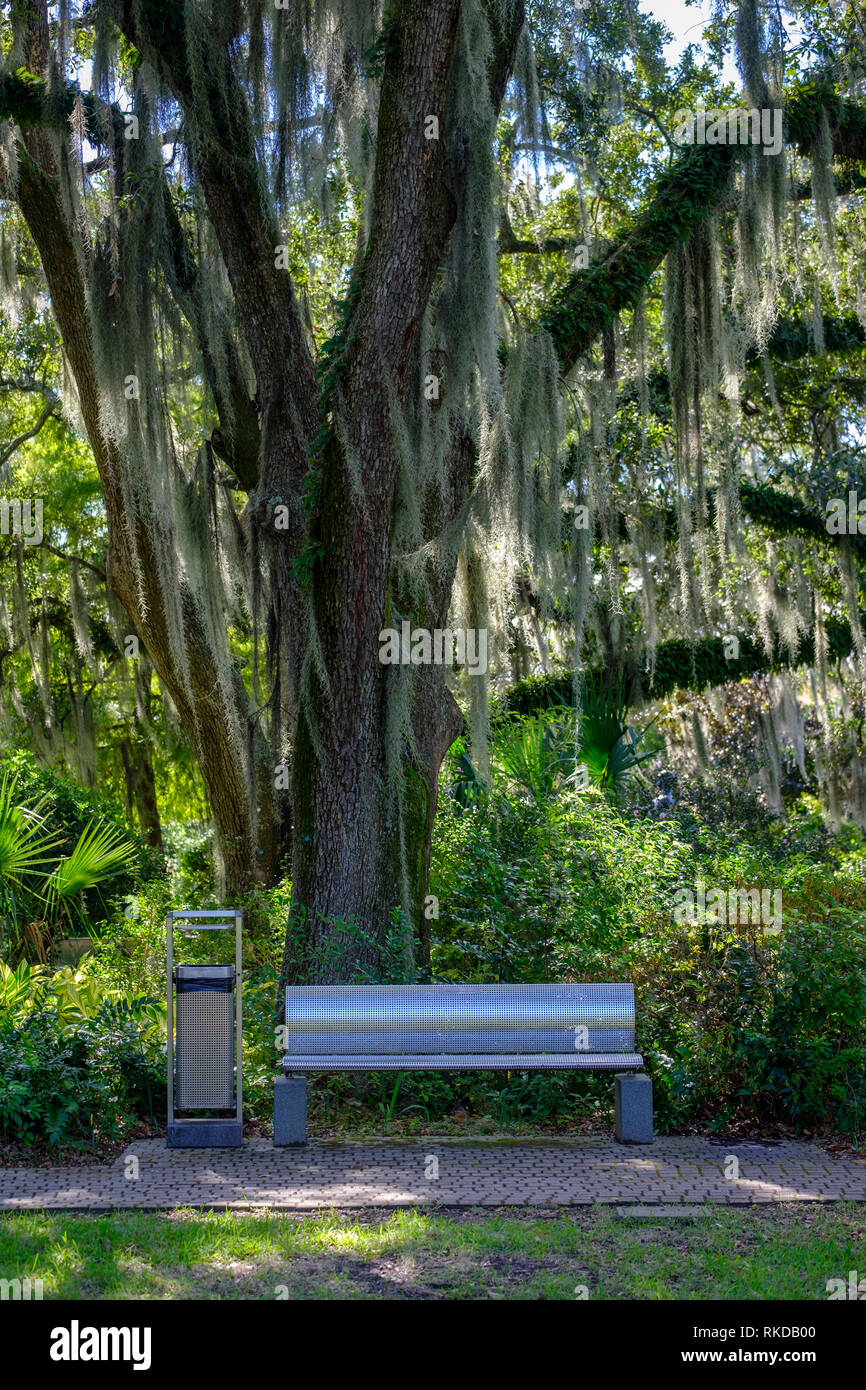 Banc de parc sur l'ombre d'arbre de chêne avec de la mousse espagnole, La Nouvelle-Orléans Sculpture Garden New Orleans, Louisiane, USA Banque D'Images