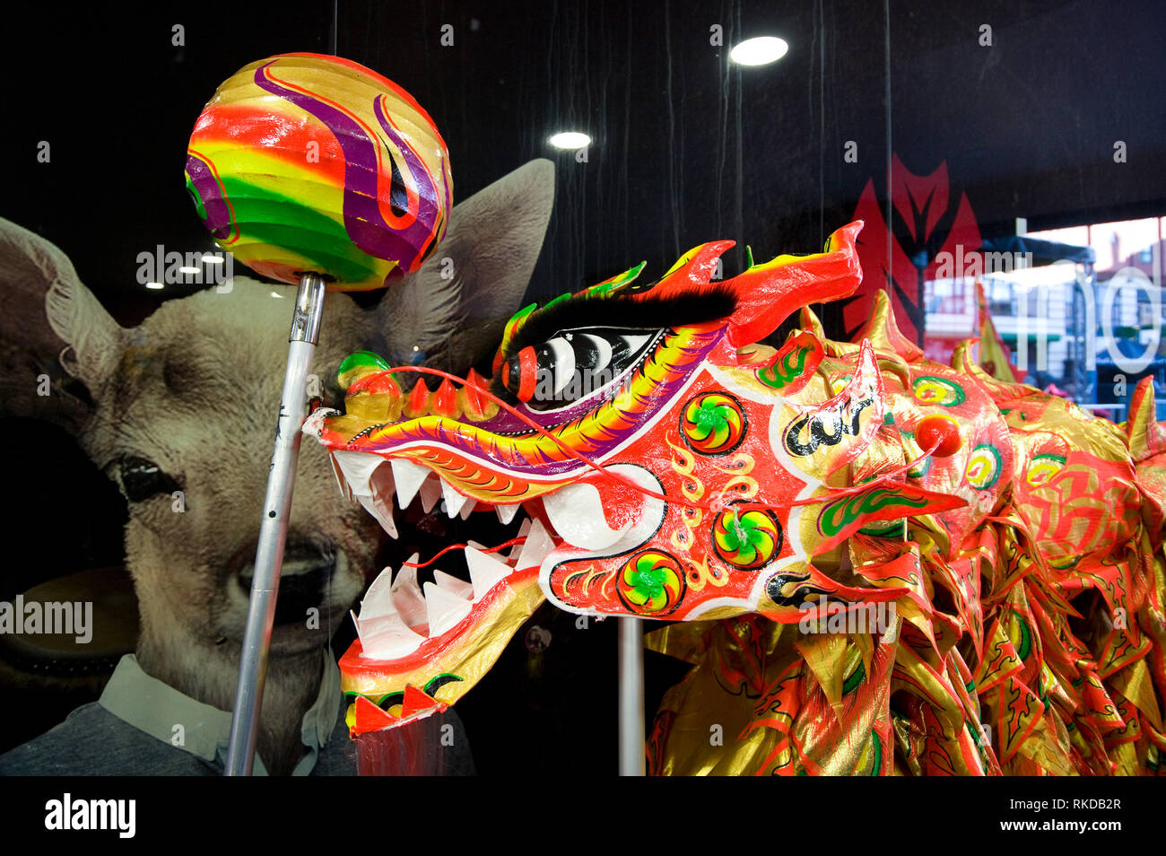 Tête de dragon sur un poteau à côté d'un objet sphérique représentant une perle. Birmingham le Nouvel An chinois 2019 fête pour célébrer l'année du Cochon Banque D'Images
