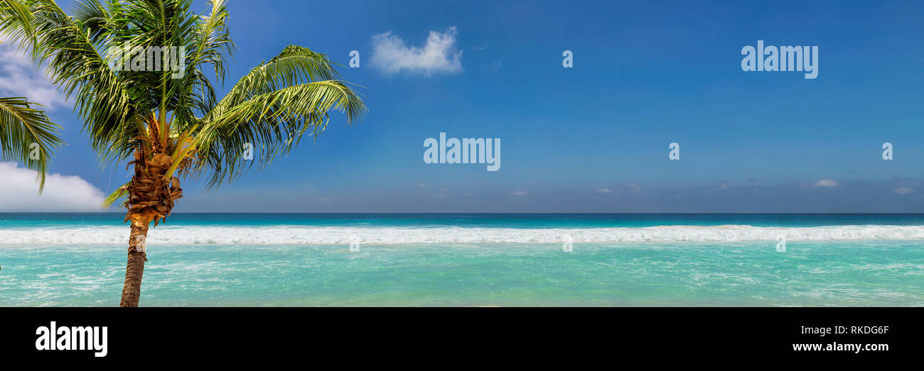 Fond de plage panoramique Banque D'Images