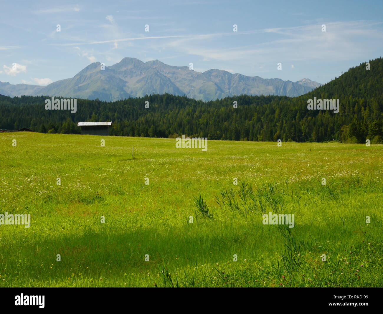 Prairie alpine, hutte, forêt et montagnes du Tyrol, Autriche Banque D'Images