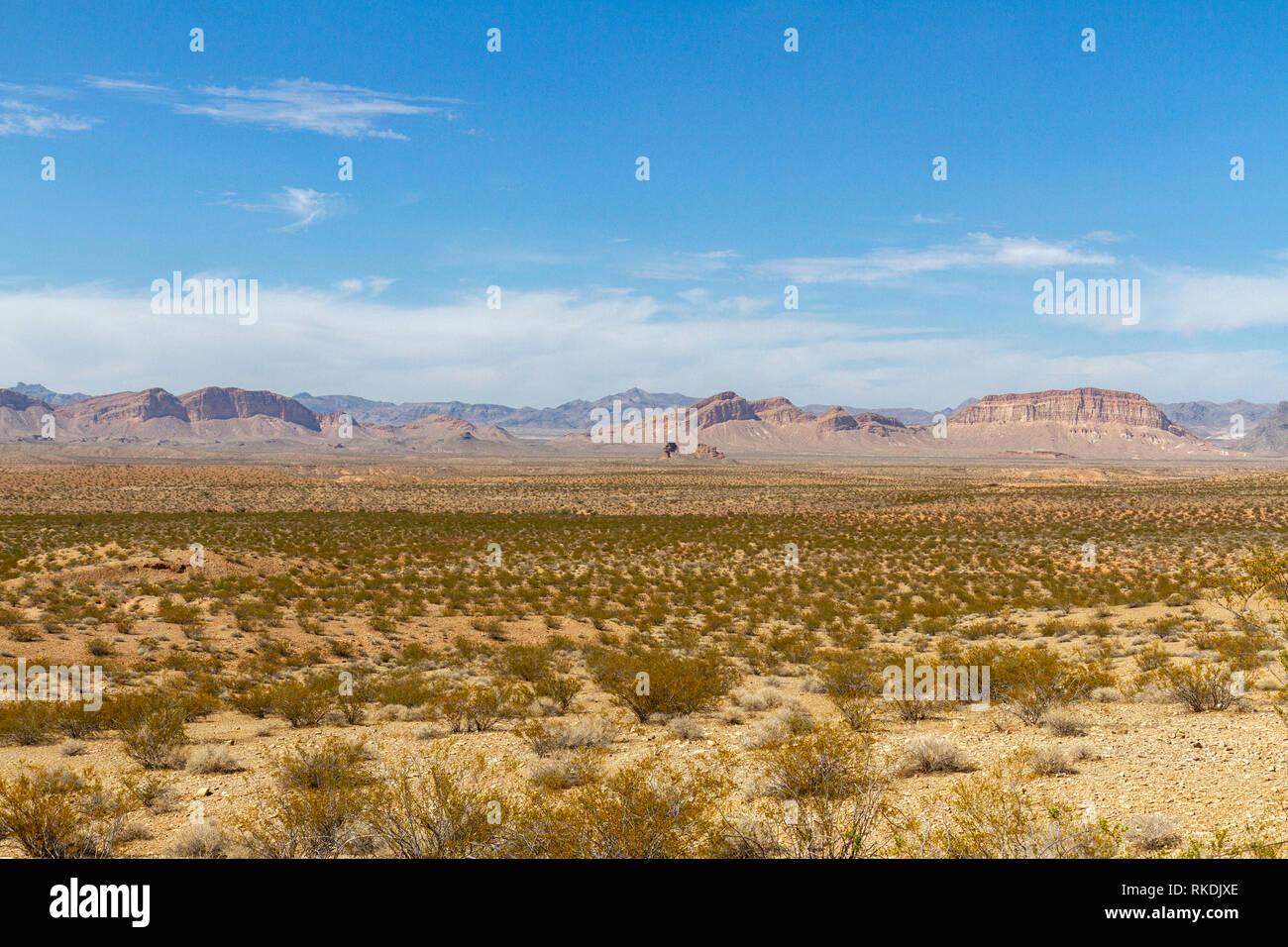 Vue générale à travers le désert du Nevada route 167 dans la zone de loisirs du lac Mead du Nevada, United States. Banque D'Images