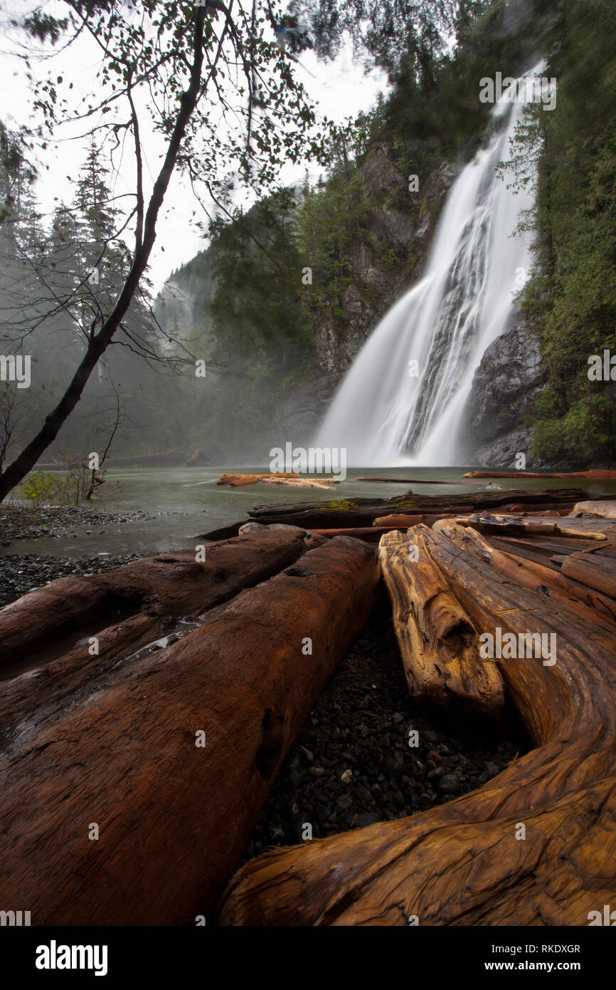 Virgin Falls, l'île de Vancouver, Colombie-Britannique, Canada Banque D'Images