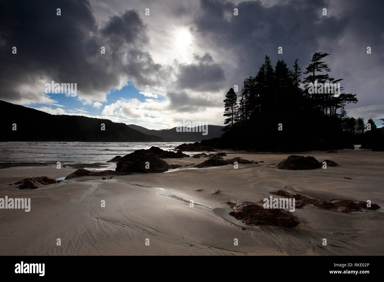 Parc provincial de Cape Scott, l'île de Vancouver, Colombie-Britannique, Canada Banque D'Images