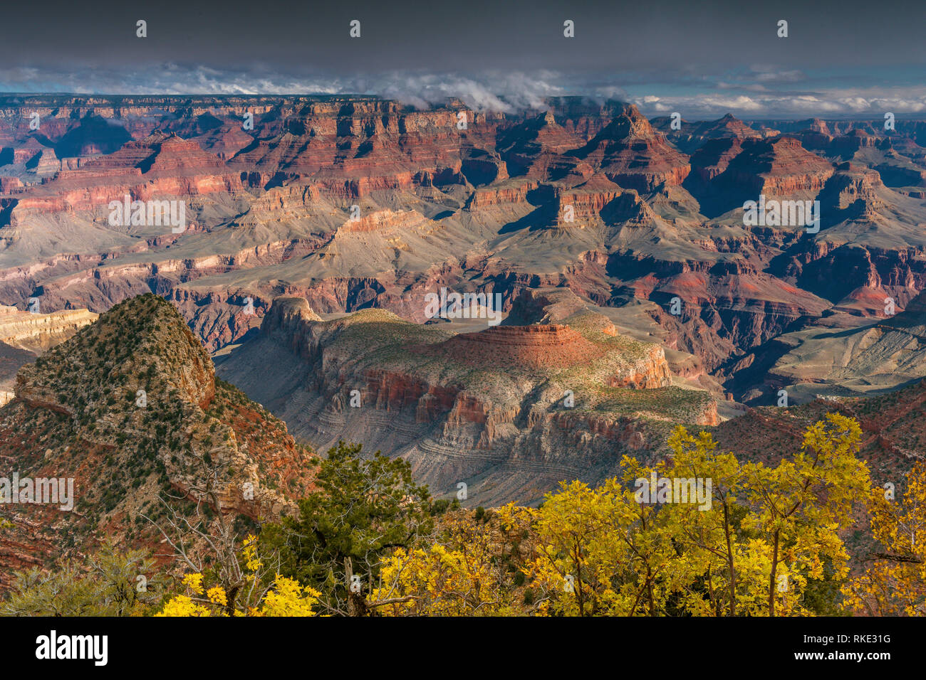 South Rim, Horseshoe Mesa, le Parc National du Grand Canyon, Arizona Banque D'Images