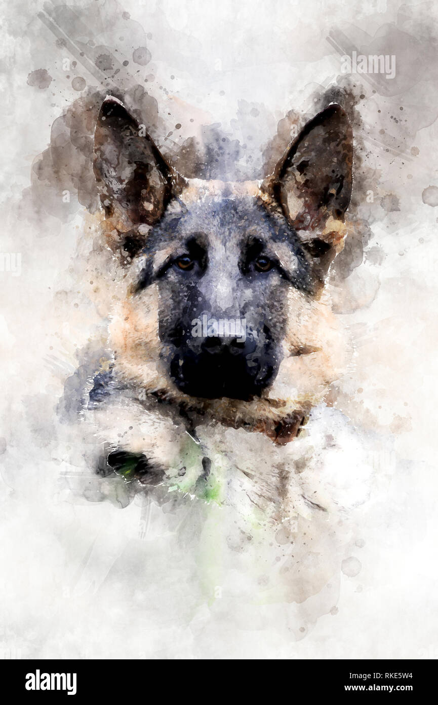 Illustration aquarelle portrait de chien. Belle wildlife world Banque D'Images