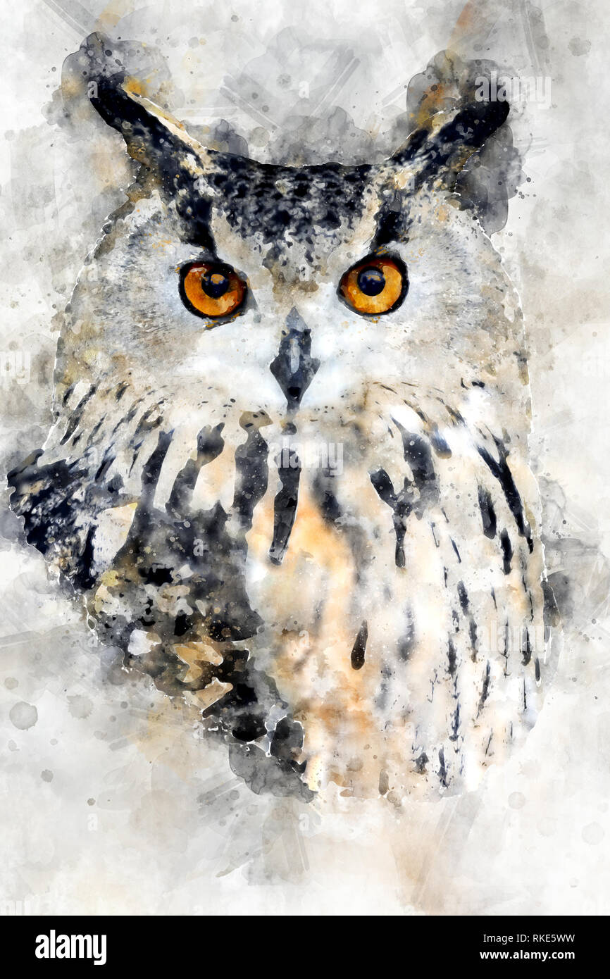 Illustration aquarelle portrait owl. Belle wildlife world Banque D'Images