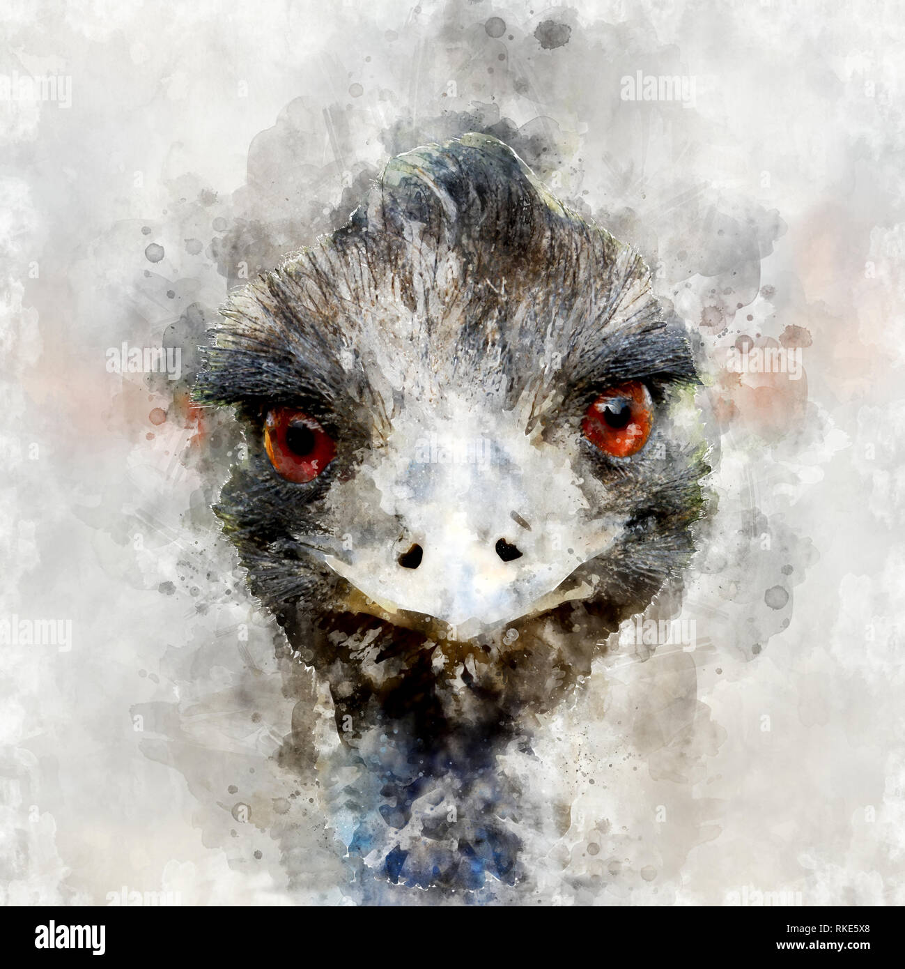 Illustration aquarelle portrait d'autruche. Belle wildlife world Banque D'Images