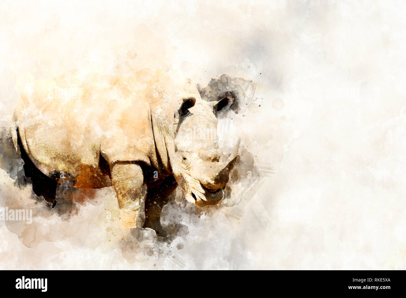 Illustration aquarelle portrait de rhino. Belle wildlife world Banque D'Images