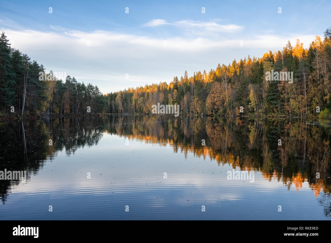 Paysage d'automne étonnant avec lac, forêt de couleur or et bleu ciel, extérieur arrière-plan de voyage en Finlande Banque D'Images