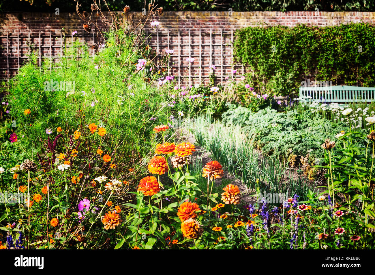 Dans le jardin de légumes d'été ensoleillé. Des fleurs, des herbes et des légumes dans le jardin arrière-cour. Eco friendly jardinage, activités de loisirs Banque D'Images