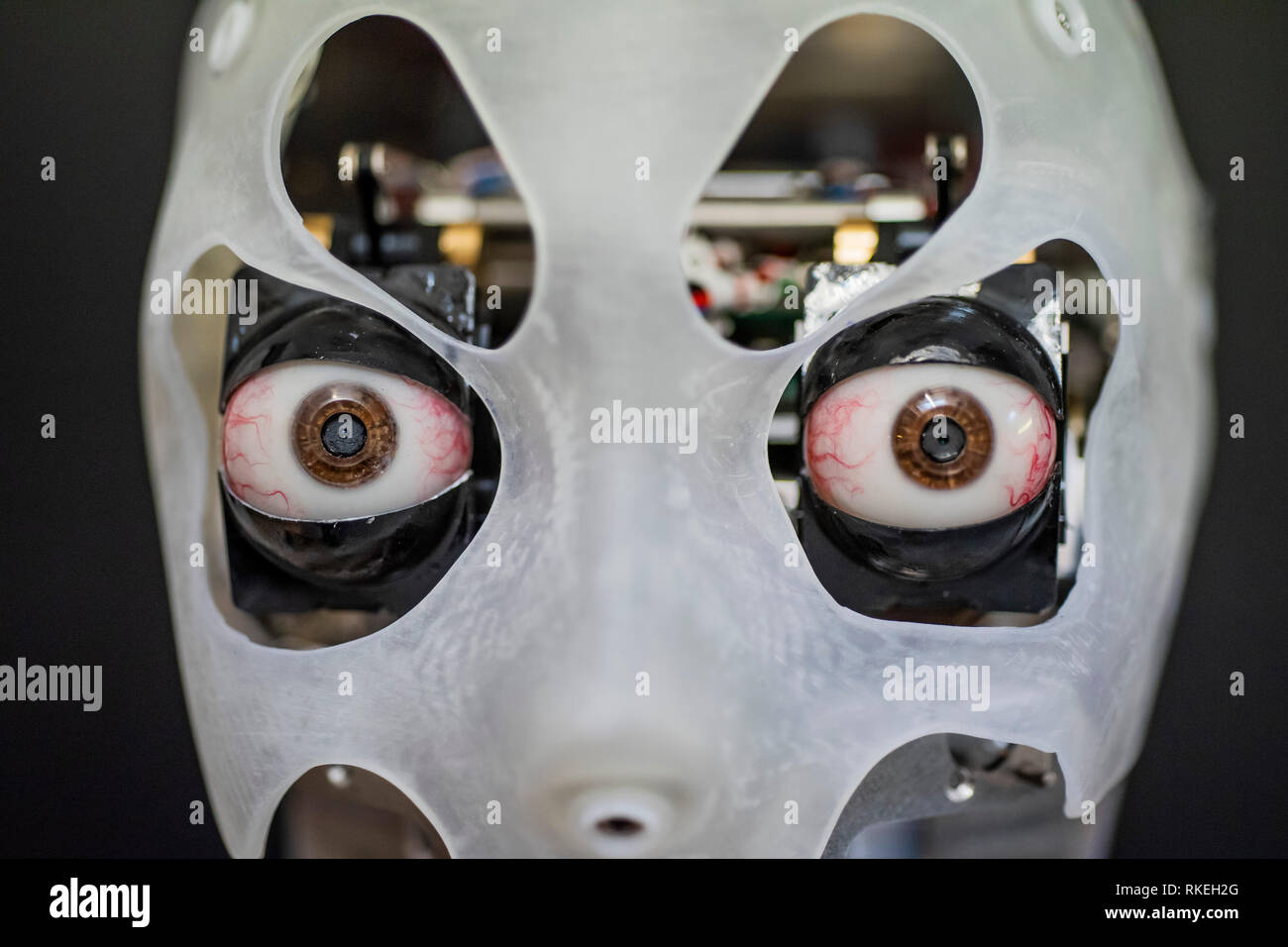 Drogenbos, Cornwall, UK. 07Th Feb 2019. Ai-da's head est presque terminé, en attente de sa 'peau' - le premier robot Ai-Da artiste en cours d'assemblage à l'Engineered Arts, Cornwall en avant de son exposition inaugurale à Lady Margaret Hall, le 8 mai 2019. Elle est l'invention de propriétaire de galerie d'art et spécialiste, Aidan Meller et il sera également diriger et organiser l'exposition. Crédit : Guy Bell/Alamy Live News Banque D'Images