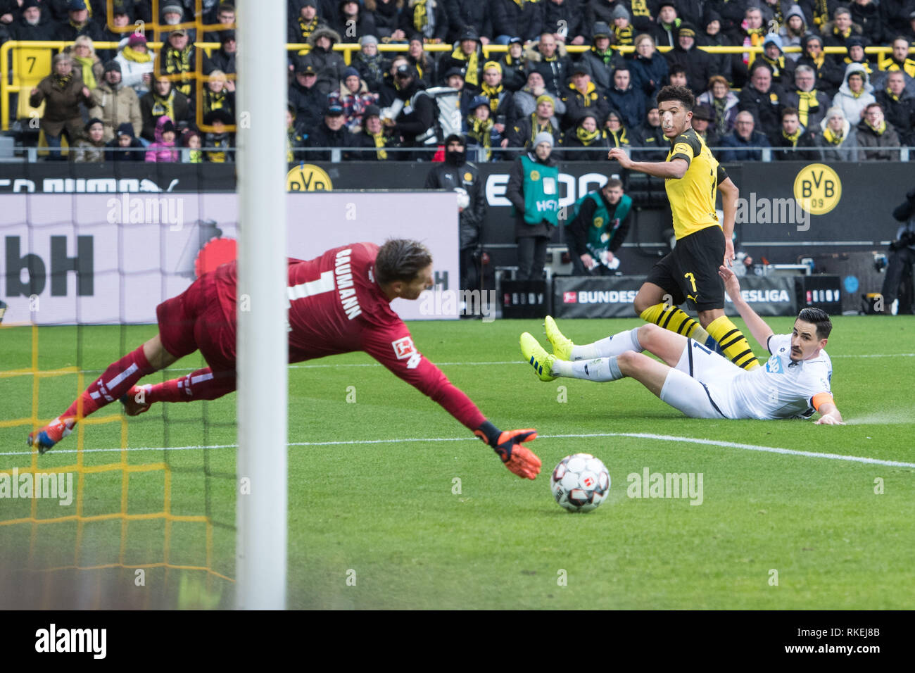 Dortmund, Allemagne. 09Th Feb 2019. Jadon, SANCHO (hi., N) shoots contre Benjamin HUEBNER (Hvºbner, 1899) et le gardien Oliver Baumann (1899) le but d'en faire 1-0 du Borussia Dortmund, action, football 1ère Bundesliga, 21e journée, Borussia Dortmund (NE) - TSG 1899 Hoffenheim (1899) 3 : 3, le 09.02.2019 à Dortmund/Allemagne. ¬ | Conditions de crédit dans le monde entier : dpa/Alamy Live News Banque D'Images