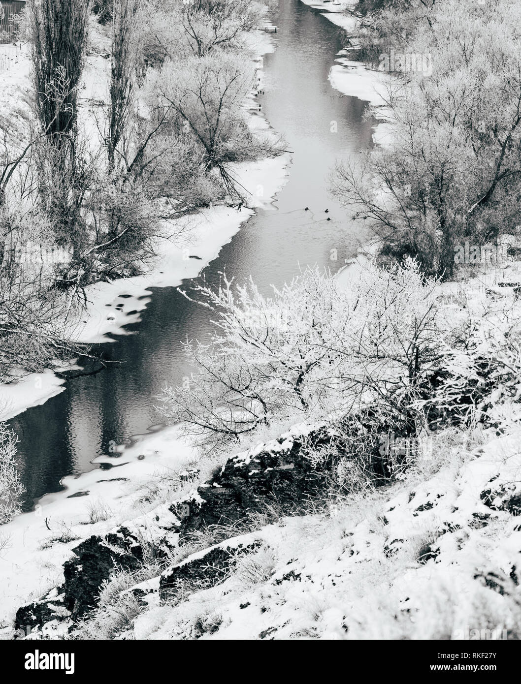 Un paysage couvert de neige, la moitié rivière gelée avec des arbres sur les rives, s'écoule à travers une vallée peu profonde. La photographie noir et blanc Banque D'Images