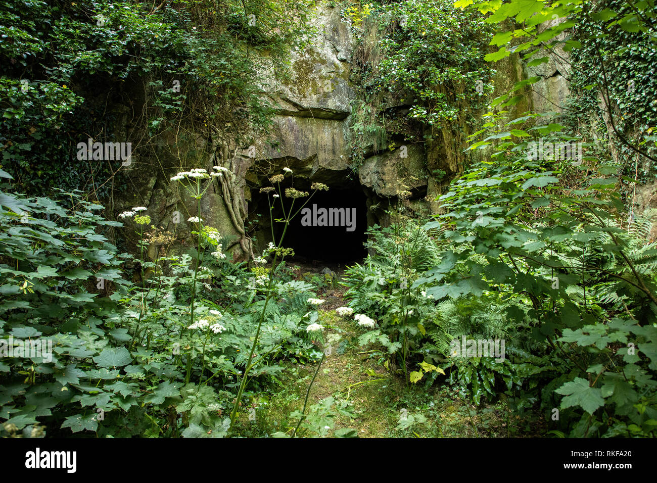 L'entrée d'un tunnel de stockage de munitions allemand creusé qui passe à proximité de Château d'Essex sur Alderney. Il s'agit de munitions n° 2. Banque D'Images