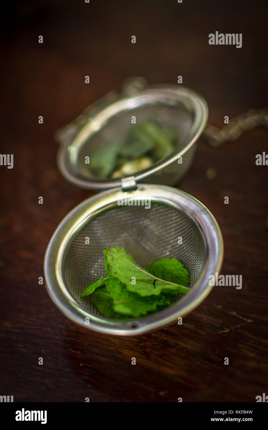 Metal thé avec les feuilles séchées de thé vert et de menthe fraîche sur un fond en bois brun foncé Banque D'Images