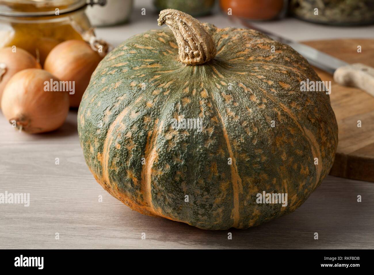 Tout a pumpkin fléau Delica Moretti dans la cuisine. Banque D'Images