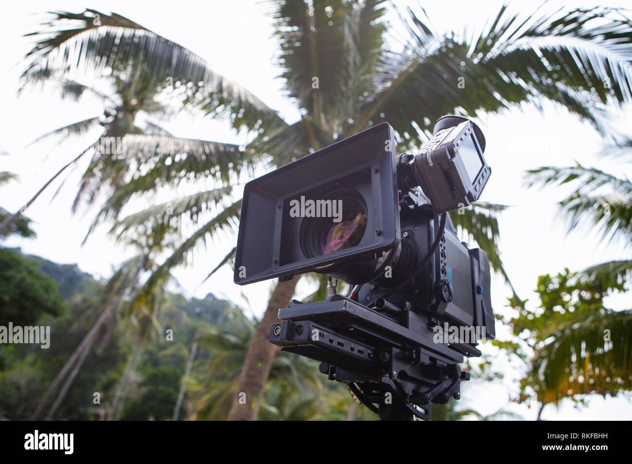 Caméra vidéo professionnelle sur un décor de cinéma sur fond de palmiers Banque D'Images