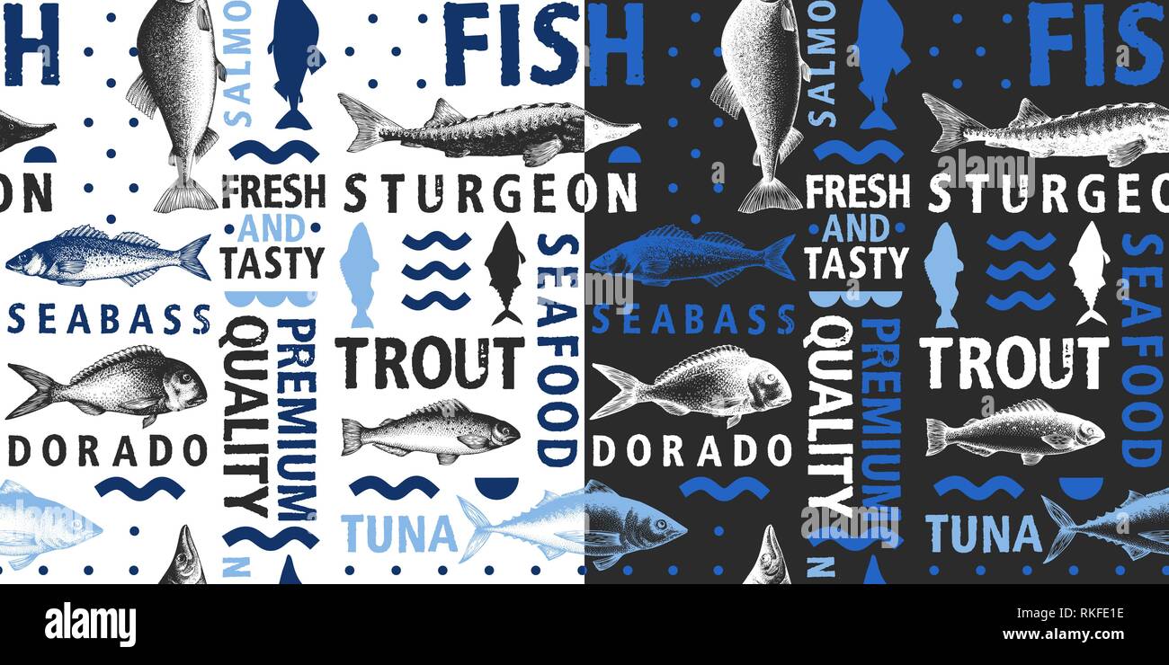 Vecteur typographiques sans poisson sur fond sombre et lumineux. Types de poissons et à la main menu illustrations pour et l'emballage. Style rétro. Illustration de Vecteur
