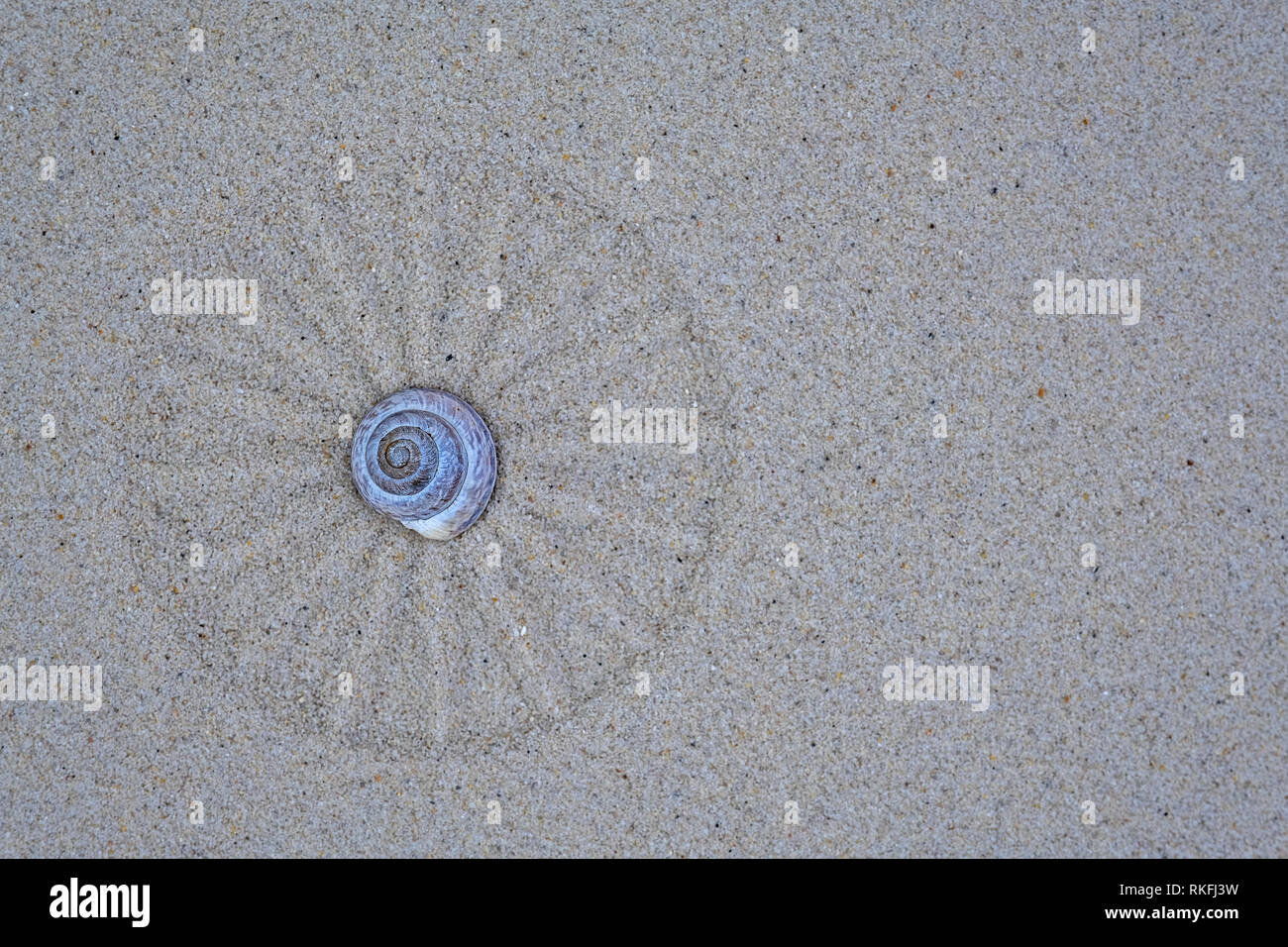 Coquille d'escargot se reposant sur le sable la méditation zen Banque D'Images