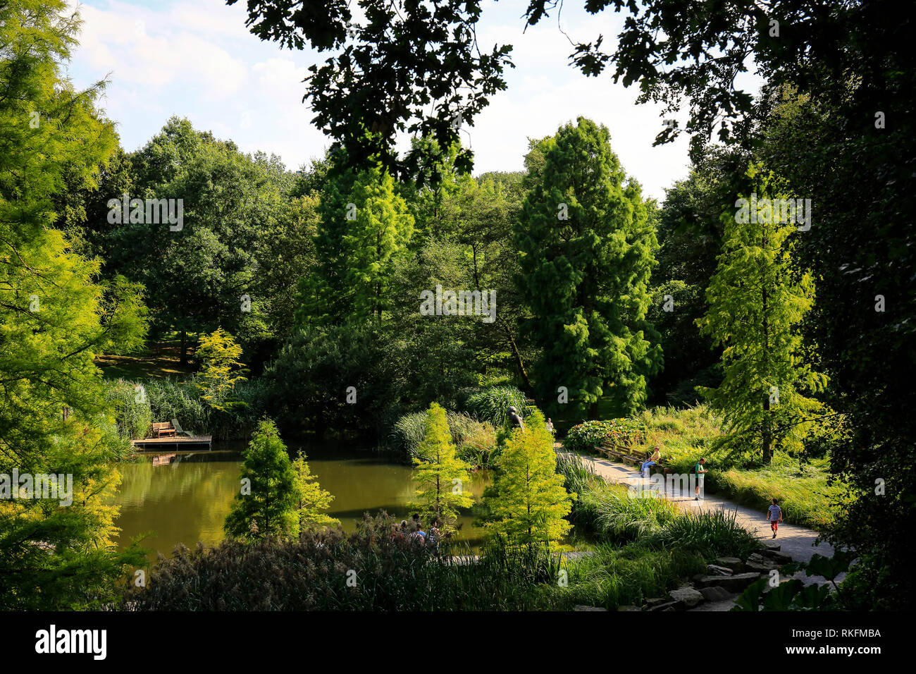 Essen, Rhénanie du Nord-Westphalie, région de la Ruhr, Allemagne, parc Grugapark, domaine de l'Horticole fédérale montrent 1965, paysage du lac à l'occasion de la Banque D'Images