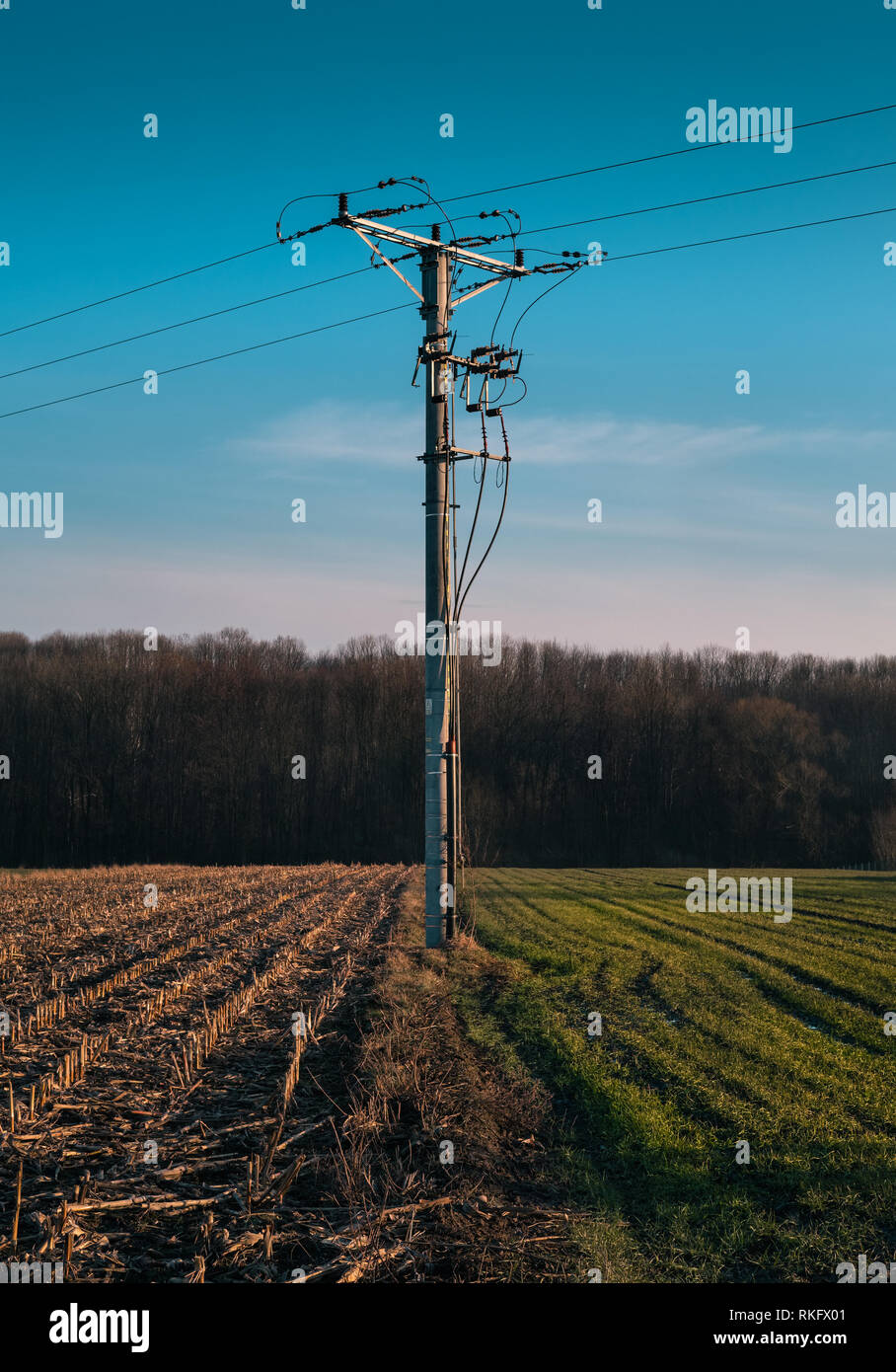 Ligne d'alimentation dans un champ coloré éclairé par le coucher du soleil au printemps, les couleurs RGB Banque D'Images