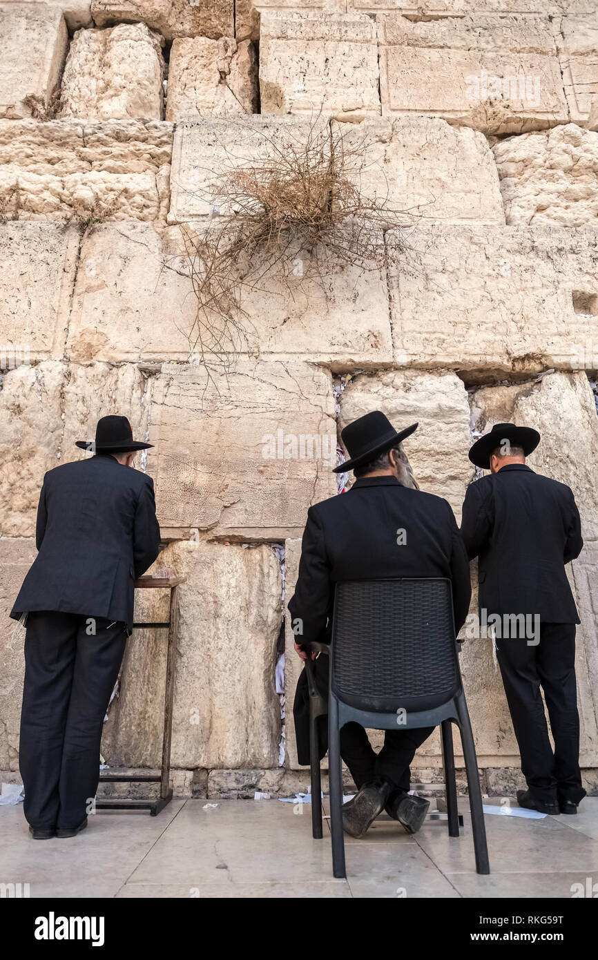 Les juifs orthodoxes religieux priant au mur occidental à Jérusalem Banque D'Images