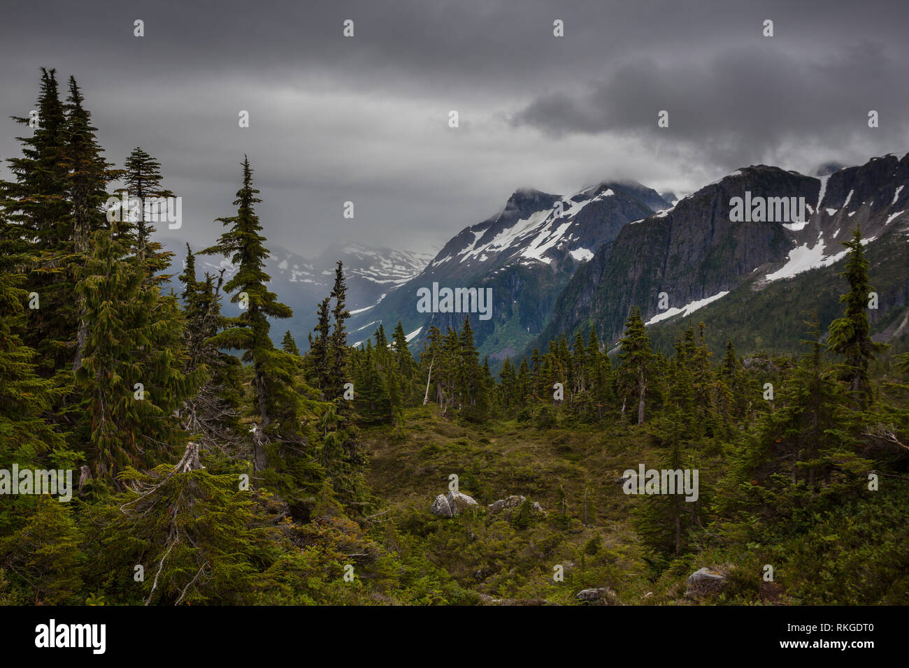 Bella Coola, Central Coast, British Columbia, Canada Banque D'Images