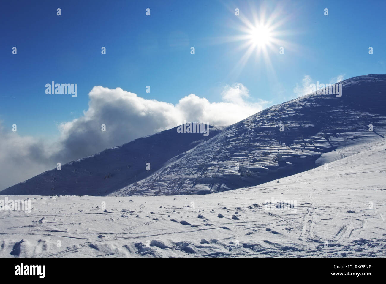 Paysage de montagne d'hiver avec Sun Banque D'Images