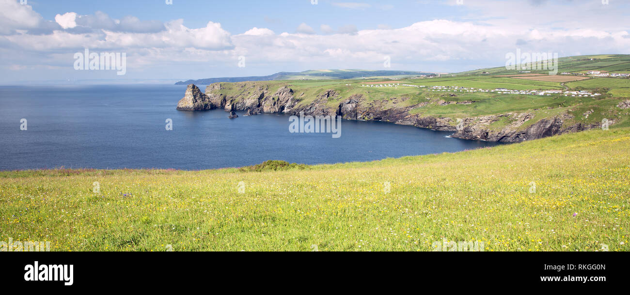Vue sur la côte de Cornouailles à Willapark près de Tintagel Cornwall uk Banque D'Images Vue sur la côte de Cornouailles à Willapark près de Tintagel Cornwall uk Banque D'Images